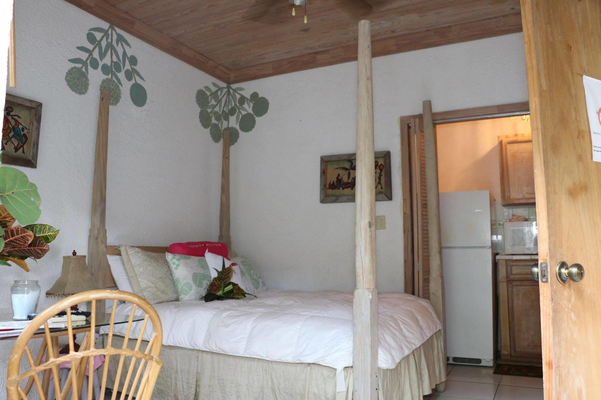 The Sugar Apple Lodging Dunmore Town Extérieur photo