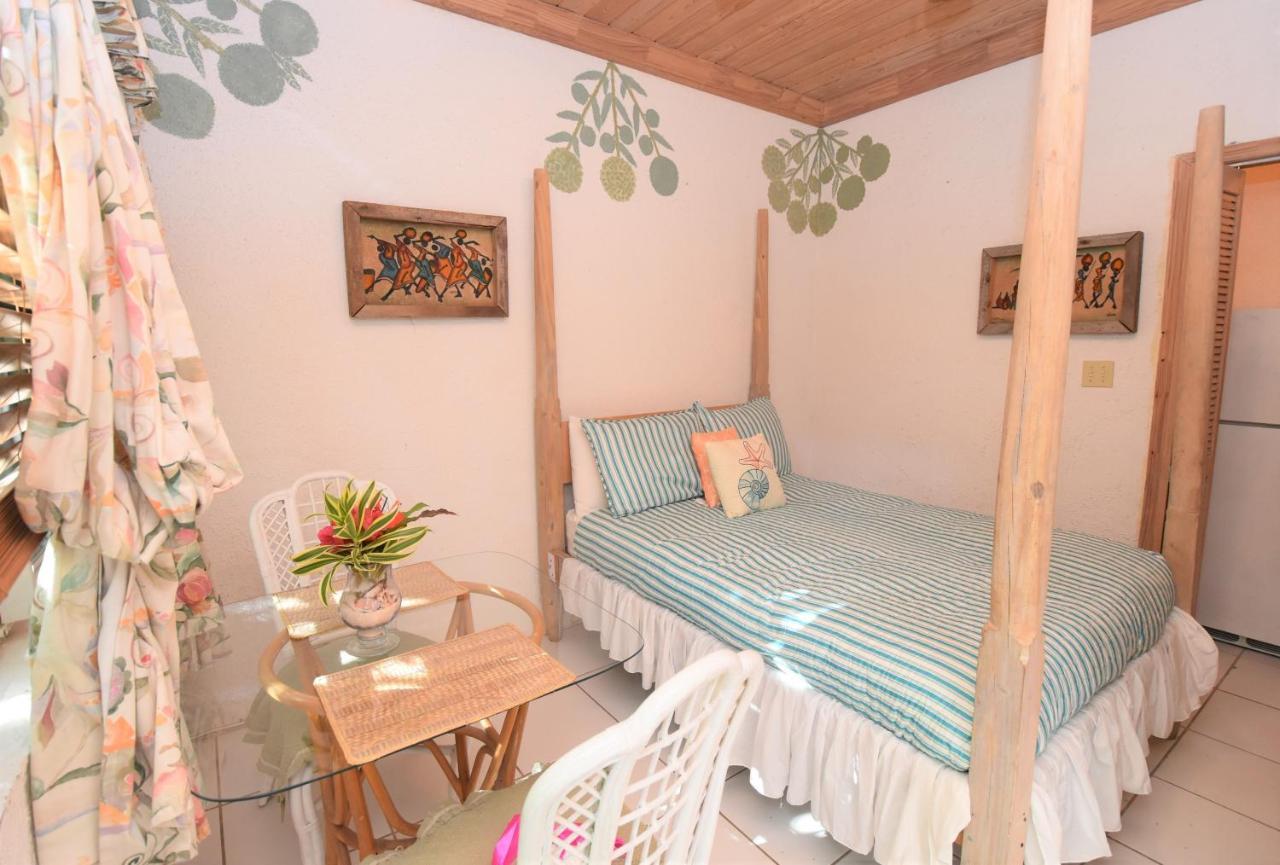 The Sugar Apple Lodging Dunmore Town Extérieur photo