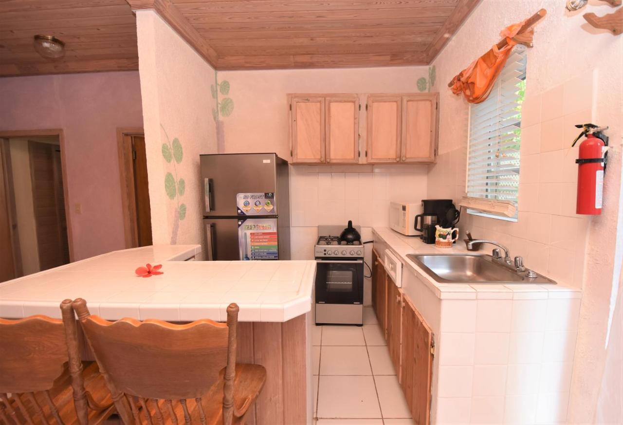 The Sugar Apple Lodging Dunmore Town Extérieur photo